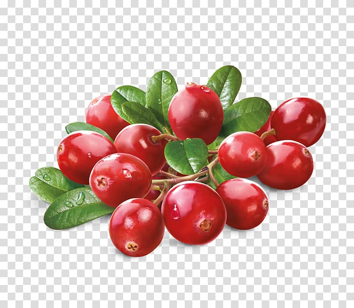 Barbados Cherry Cranberry Superfood Lingonberry Green tea, green tea transparent background PNG clipart