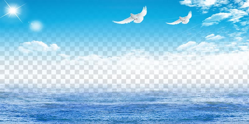 two white flying doves above blue ocean during daytime, Sea Poster, Blue sea transparent background PNG clipart