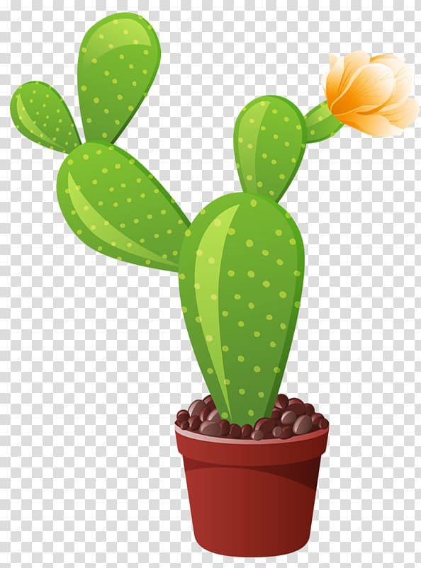 Cactaceae Garden , others transparent background PNG clipart