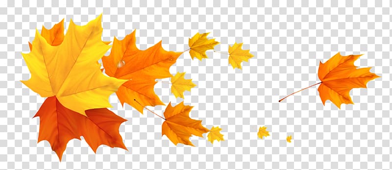 Color Banner Autumn Leaf, autumn leaves transparent background PNG clipart