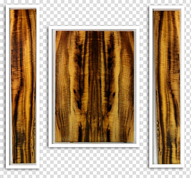 Wood stain Frames Trunk Modern art, wood transparent background PNG clipart