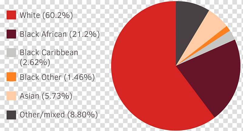 Ethnic group Black Race People Africans, race transparent background PNG clipart