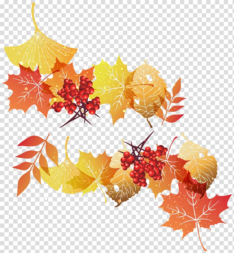 autumn leaves , Leaf Graphics , Leaves Autumn Decoration transparent background PNG clipart