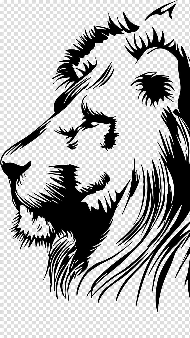 black lion illustration, Lionhead rabbit Drawing , Leon transparent background PNG clipart