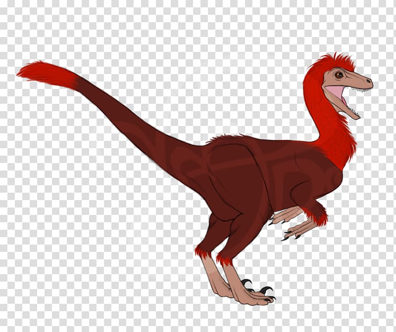 Pyroraptor Utahraptor Troodon Dinosaur Velociraptor, dinosaur transparent background PNG clipart