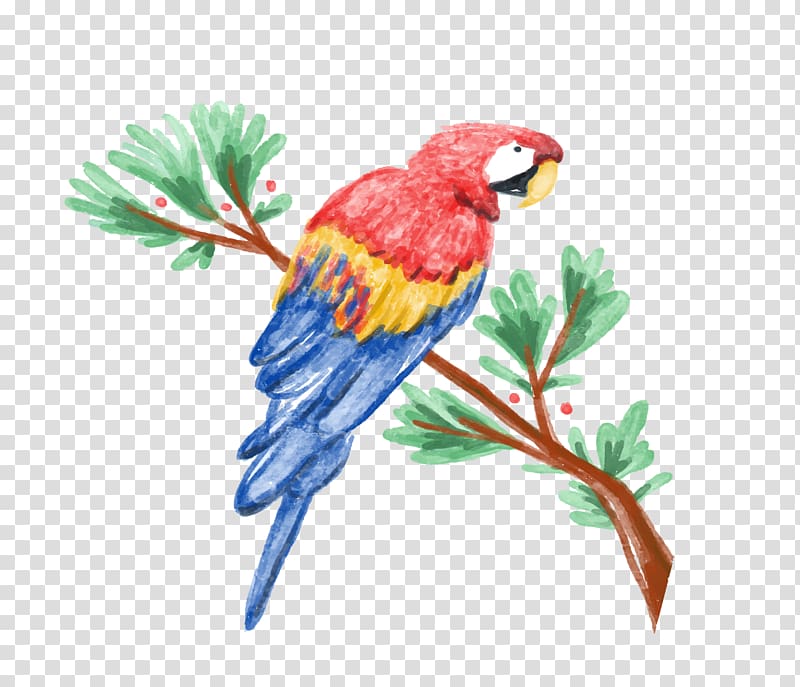 Amazon parrot Watercolor painting Illustration, Watercolor parrot transparent background PNG clipart