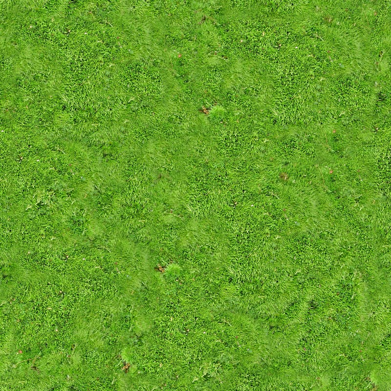 green grass field, Vegetation Lawn Grassland Green, Carpet transparent background PNG clipart