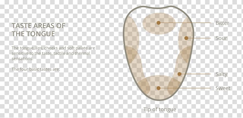 Product design Material Body Jewellery, papillae of tongue transparent background PNG clipart