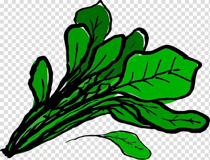 Food Spinach Leaf , spinach transparent background PNG clipart