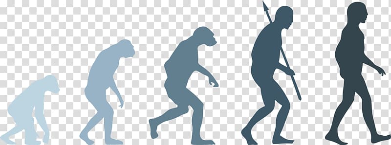 Evolution of Man, Neandertal Human evolution Homo sapiens, evolution transparent background PNG clipart