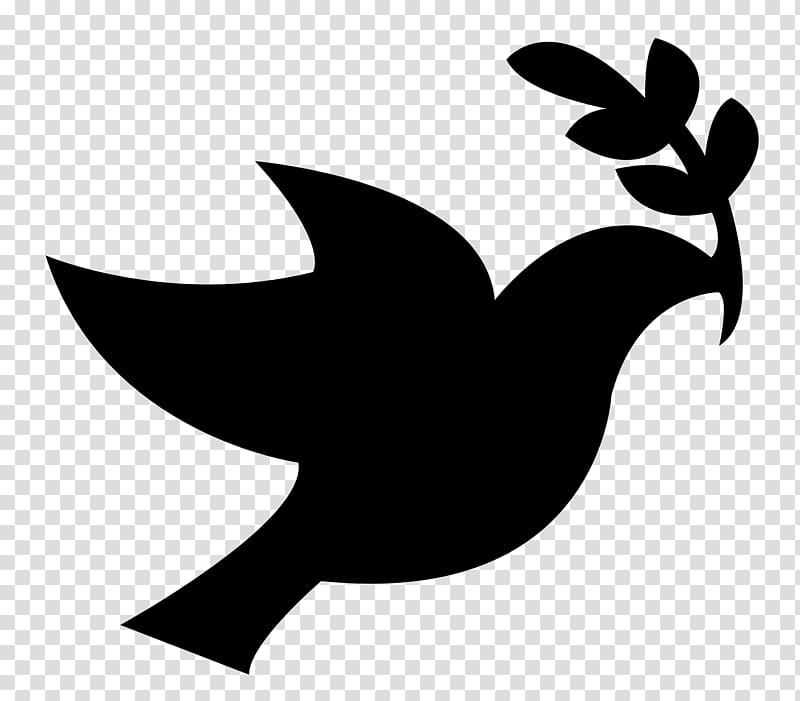 Peace Dove transparent background PNG clipart