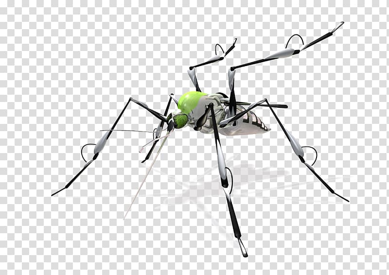 Mosquito Household Insect Repellents Agricultural machinery Fly, no mosquito transparent background PNG clipart