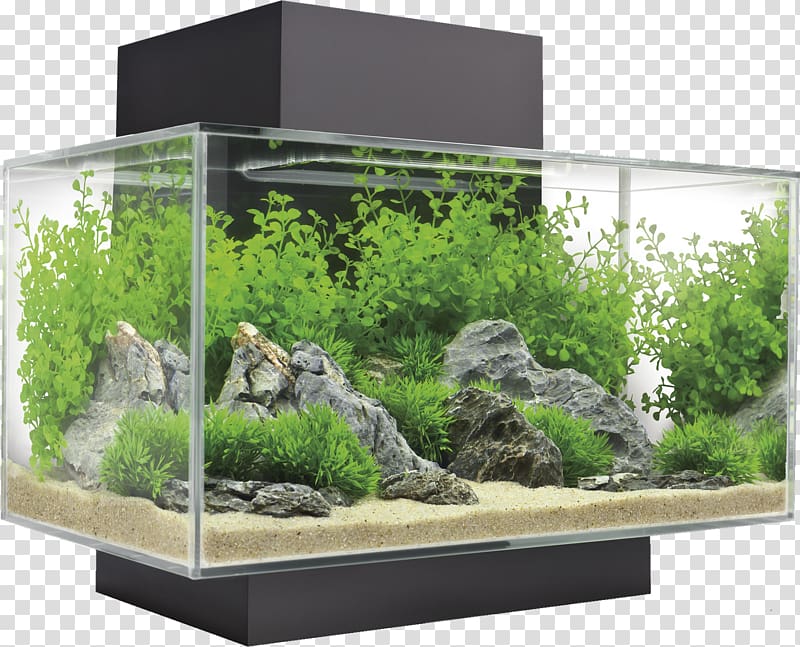 Aquariums Aquascaping Light Fishkeeping, aquarium decoration transparent background PNG clipart