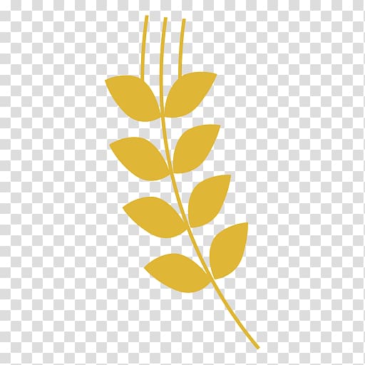 Wheat , gold leaf transparent background PNG clipart