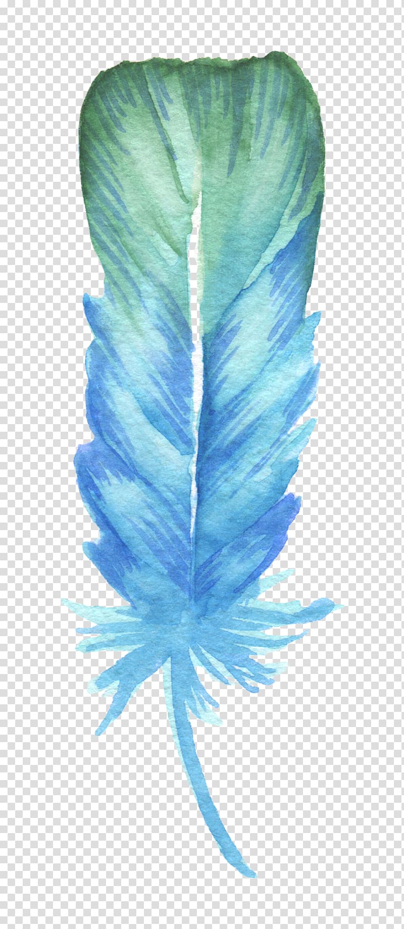 blue feather , Feather Blue Drawing, Blue Feather transparent background PNG clipart
