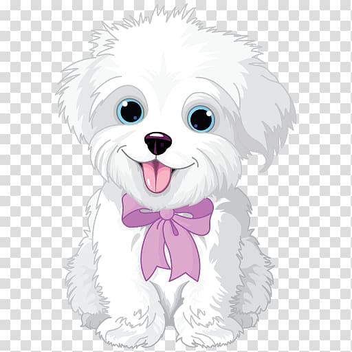 medium-coated white dog , Havanese dog Maltese dog Puppy Bichon Frise, puppy transparent background PNG clipart