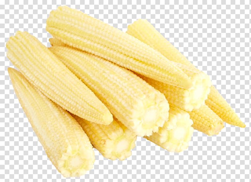 bunch of sweet corns, Corn on the cob Baby corn Maize Corncob, Baby Corn Cobs transparent background PNG clipart