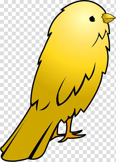 Domestic canary Big Bird , Yellow Animal transparent background PNG clipart