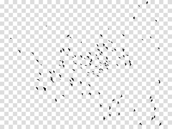 Hummingbird Flock Bird migration Swallow, flock of birds transparent background PNG clipart