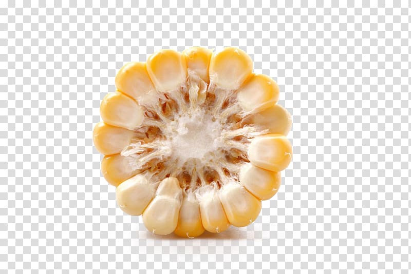 Waxy corn Popcorn Maize Sweet corn, corn transparent background PNG clipart