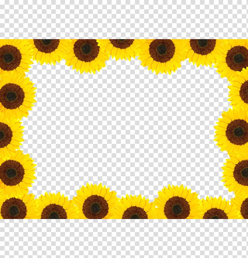 Common sunflower, sunflower transparent background PNG clipart