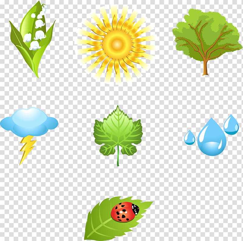 Nature Icon, Natural elements transparent background PNG clipart