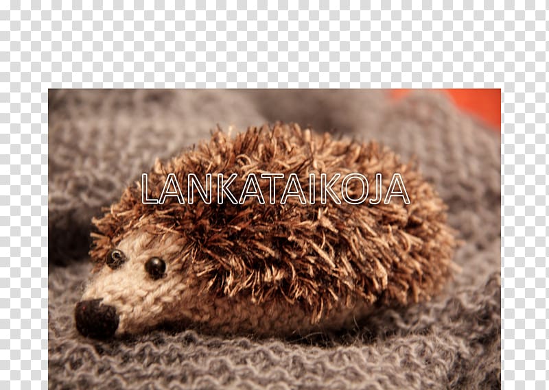 Domesticated hedgehog Fauna Fur Snout, hedgehog transparent background PNG clipart