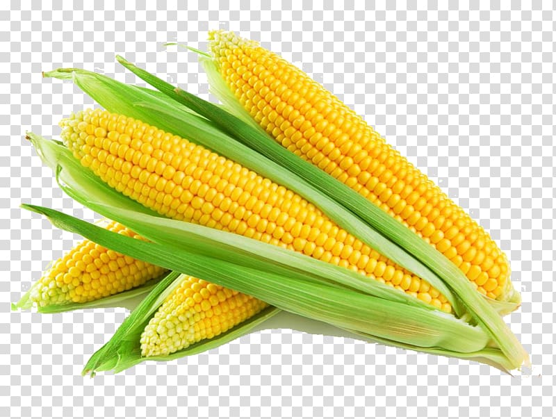 Maize Cereal Agriculture Corn oil Cornbread, others transparent background PNG clipart