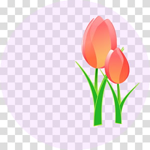 Tulip mania , Free Tulip transparent background PNG clipart thumbnail
