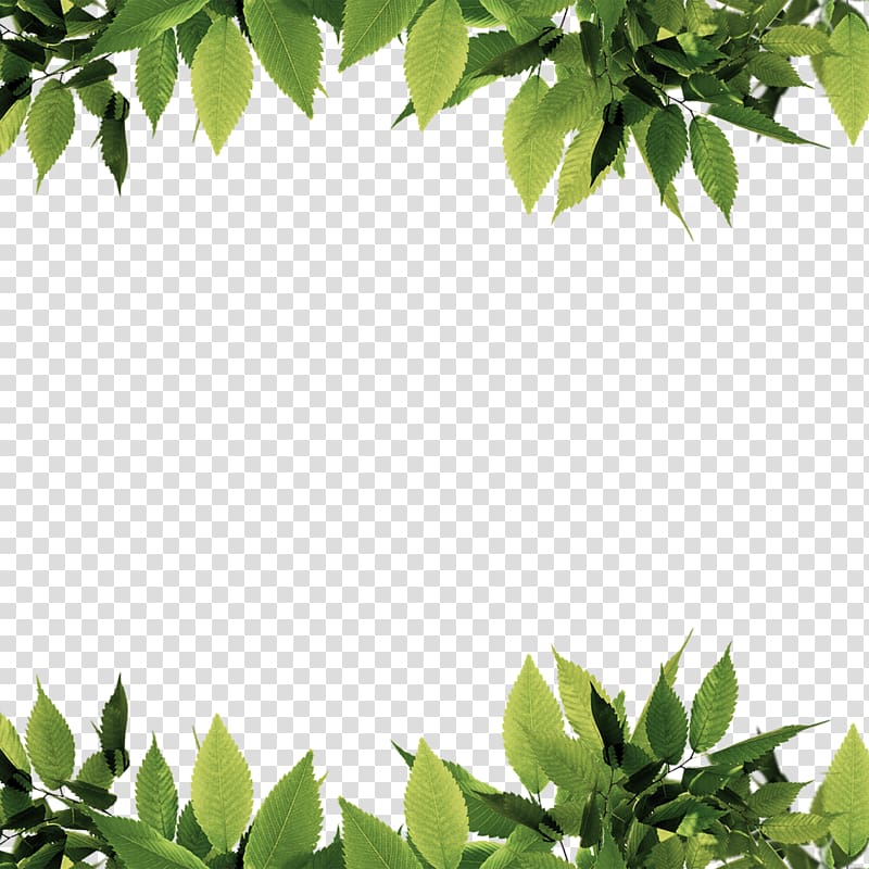 green leaves , Green Leaf Computer file, Green leaves border transparent background PNG clipart