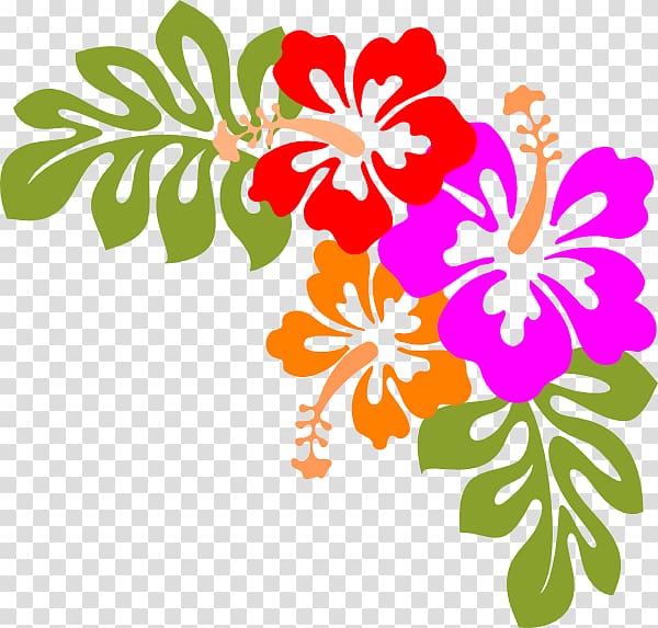 hibiscus , Hawaiian , Hawaiian Background transparent background PNG clipart