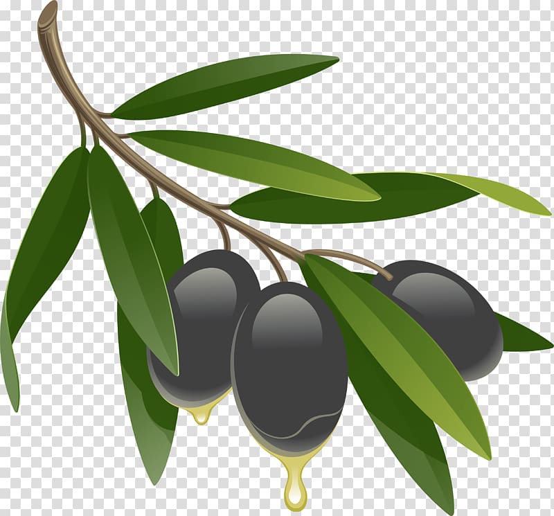 Olive oil Fluid ounce, Black olives transparent background PNG clipart