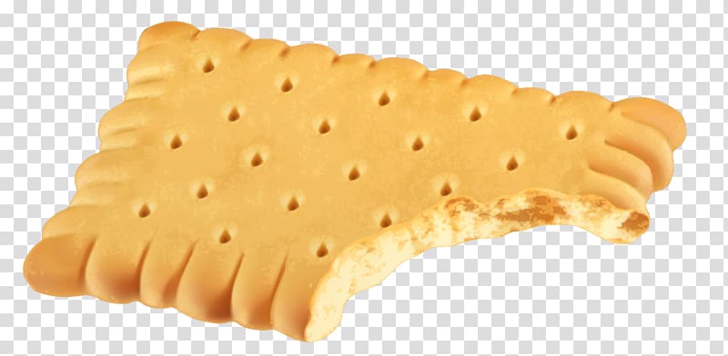 bitten cracker illustration, Biscuit Sponge cake Cookie , Biscuit transparent background PNG clipart