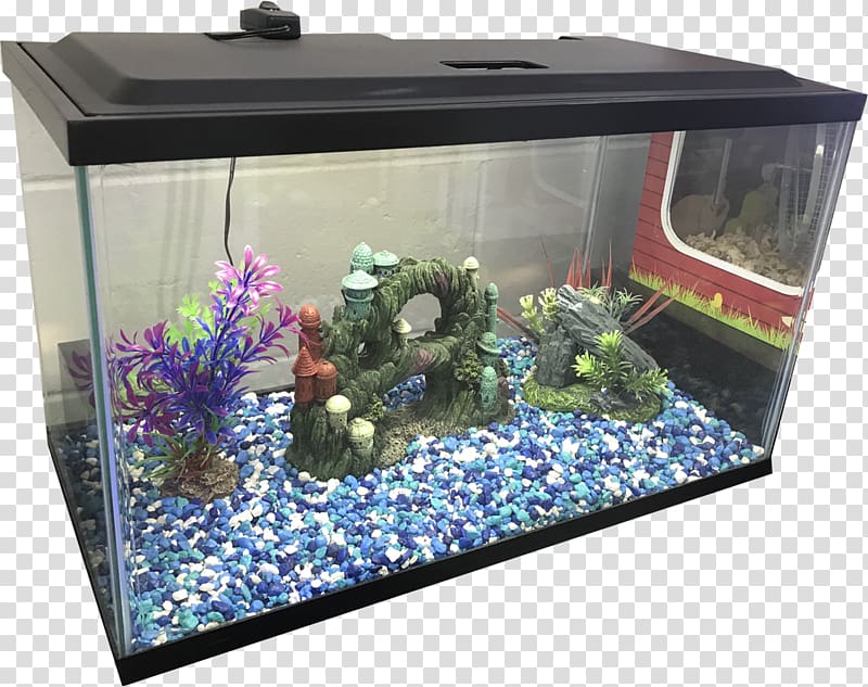 Aquarium lighting Hamster Pet Fish, Tank up transparent background PNG clipart
