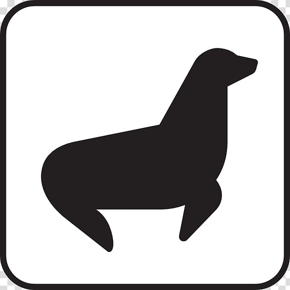 Pinniped Computer Icons , White Seal transparent background PNG clipart