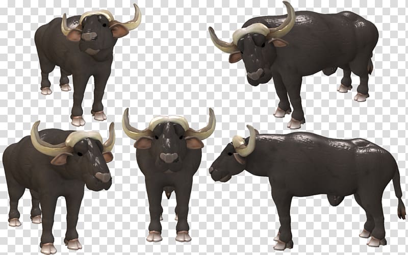 Water buffalo Bison African buffalo Cattle Spore, cape Buffalo transparent background PNG clipart