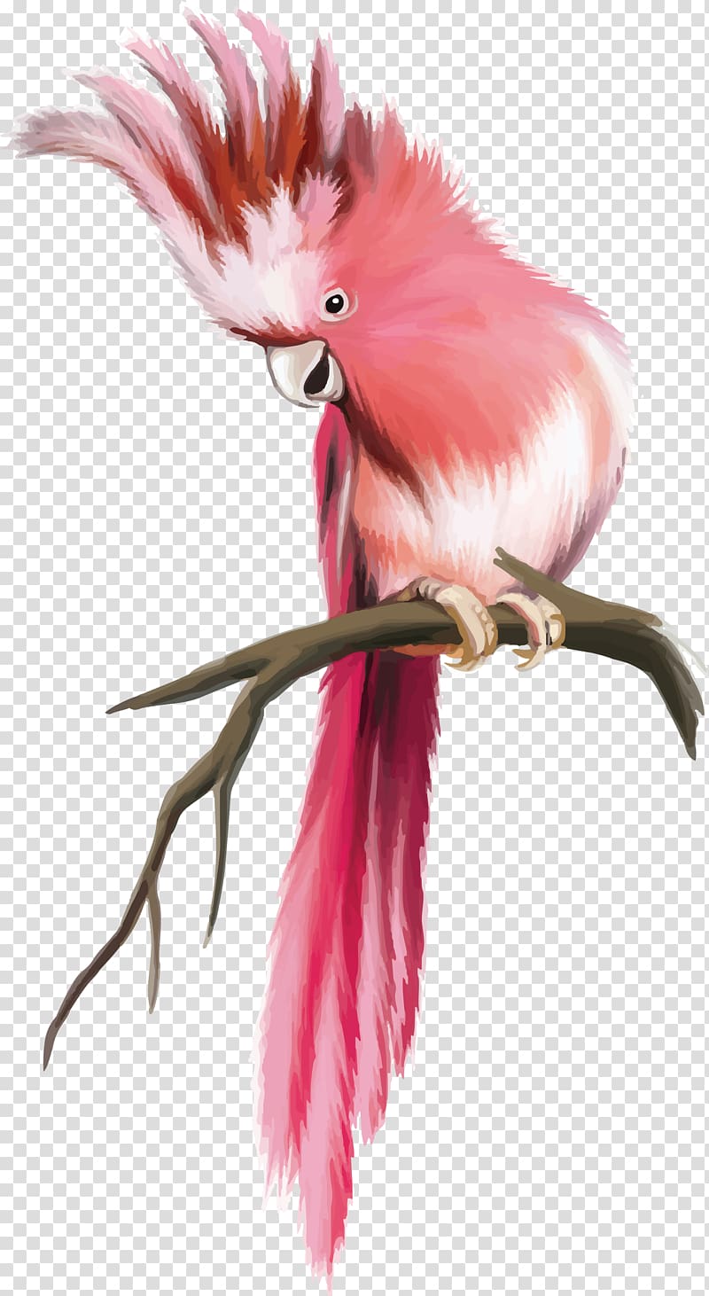 pink, and white parrot illustration, Pug Bird Parrot Bugs Bunny, parrot transparent background PNG clipart