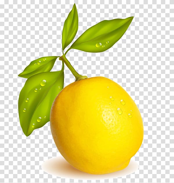 Lemon-lime drink Meyer lemon Persian lime Sweet lemon, lemon transparent background PNG clipart