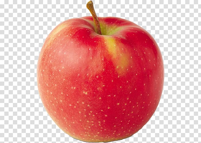 Jonagold Apple Orchard Cortland Crisp, michigan cherries varieties transparent background PNG clipart