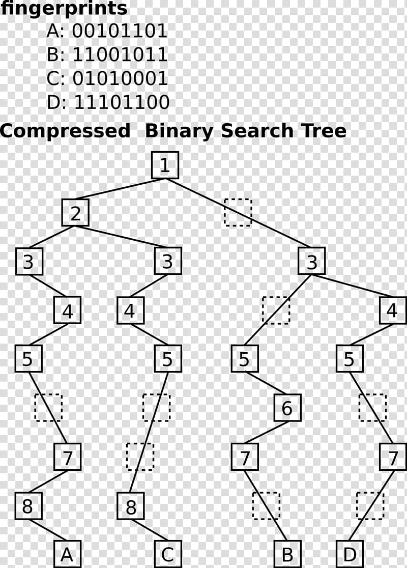 Drawing B-tree Binary tree, tree transparent background PNG clipart
