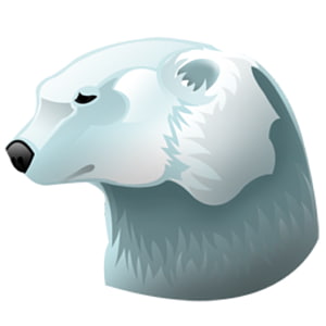 Polar bear Koala Computer Icons, polar bear transparent background PNG clipart thumbnail