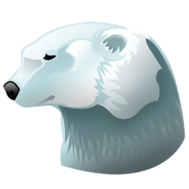 Polar bear Koala Computer Icons, polar bear transparent background PNG clipart