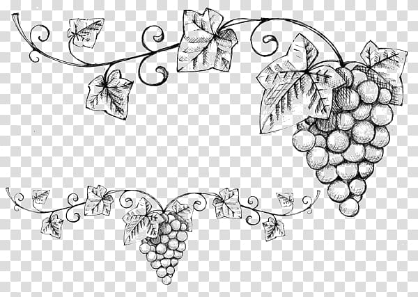 Pambelos Lodge Koufonisia Restaurant Accommodation Television, Wine sketch transparent background PNG clipart