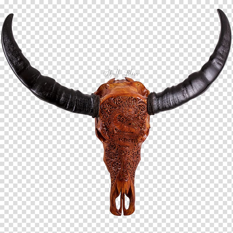 Texas Longhorn Water buffalo Skull English Longhorn, skull transparent background PNG clipart