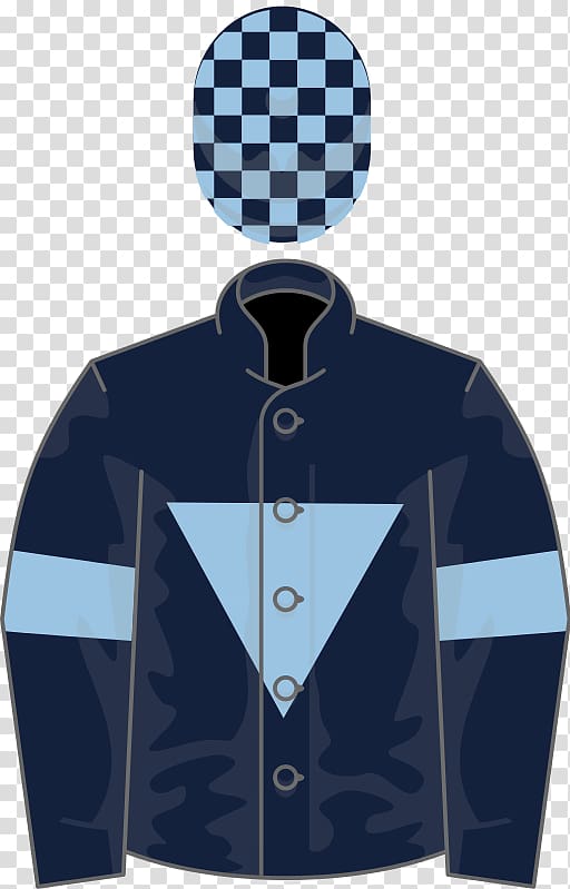 Thoroughbred 2017 Melbourne Cup Phoenix Wright: Ace Attorney , Kingwell Hurdle transparent background PNG clipart