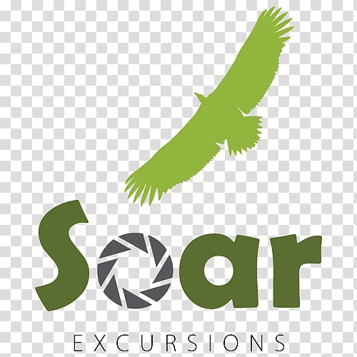 Soar Excursions Organization Beak Individual Bird, excursion transparent background PNG clipart
