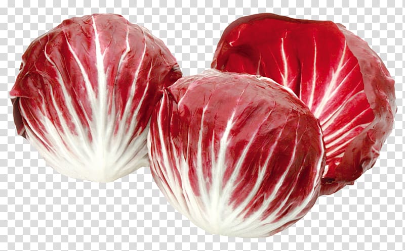 Chicory Vegetable Salad Food, Radicchio,Red salad transparent background PNG clipart