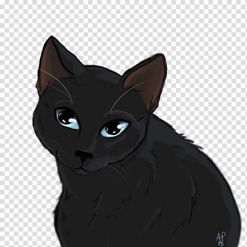 Bombay cat Korat Black cat Kitten Domestic short-haired cat, Odd-eyed Cat transparent background PNG clipart