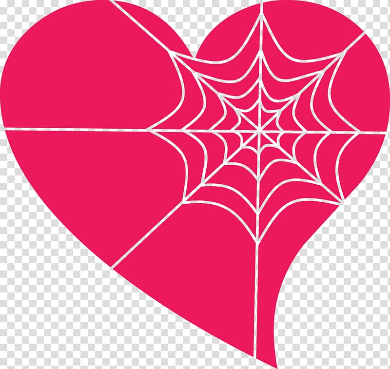 Spider web , spider transparent background PNG clipart