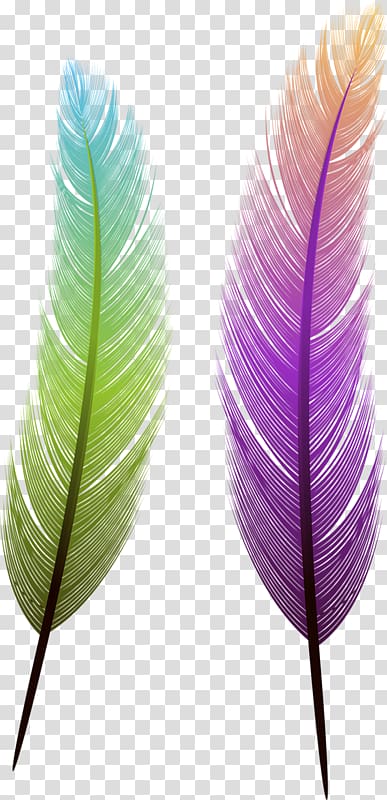 two green and purple feather , Bird Feather Euclidean , feather transparent background PNG clipart